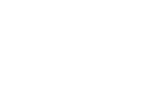 Mr. Jobs